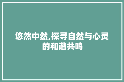 悠然中然,探寻自然与心灵的和谐共鸣