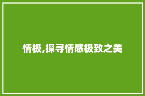 情极,探寻情感极致之美
