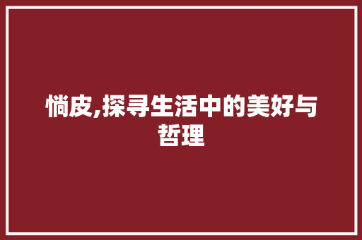 惝皮,探寻生活中的美好与哲理