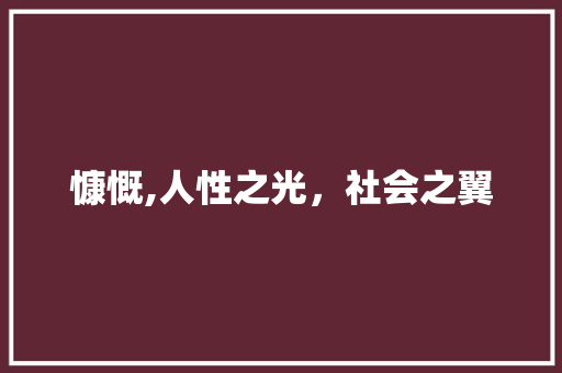 慷慨,人性之光，社会之翼