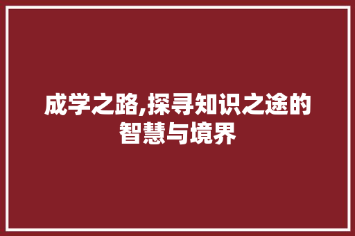 成学之路,探寻知识之途的智慧与境界
