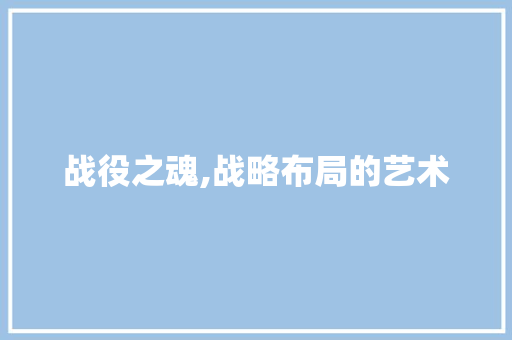 战役之魂,战略布局的艺术