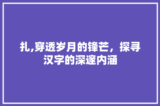 扎,穿透岁月的锋芒，探寻汉字的深邃内涵