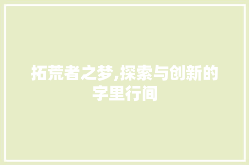 拓荒者之梦,探索与创新的字里行间