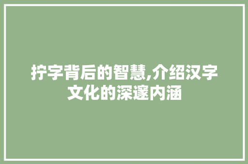 拧字背后的智慧,介绍汉字文化的深邃内涵