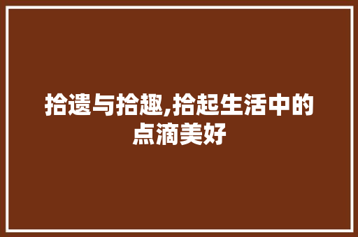 拾遗与拾趣,拾起生活中的点滴美好