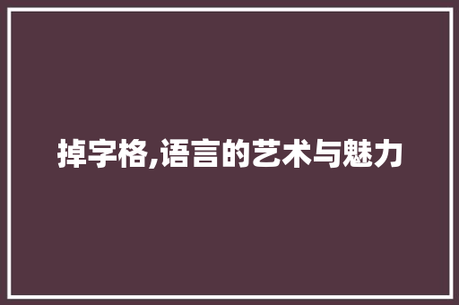 掉字格,语言的艺术与魅力