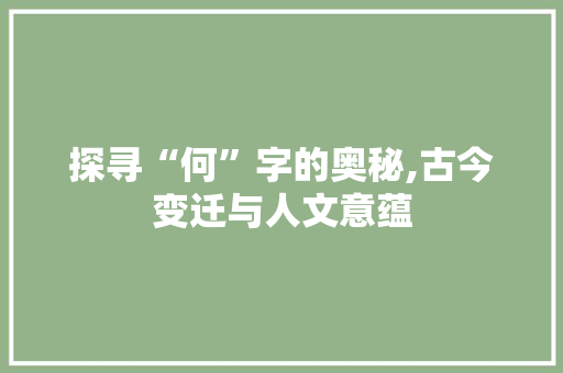 探寻“何”字的奥秘,古今变迁与人文意蕴