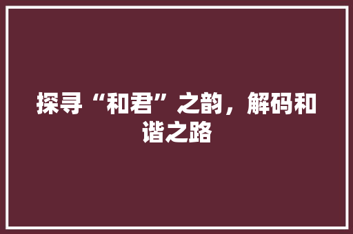 探寻“和君”之韵，解码和谐之路
