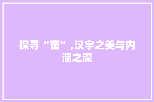 探寻“啻”,汉字之美与内涵之深