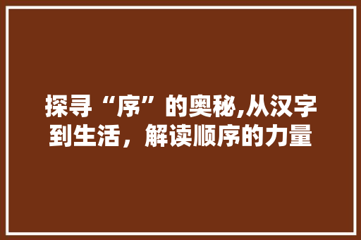 探寻“序”的奥秘,从汉字到生活，解读顺序的力量