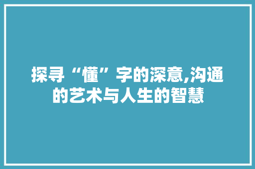 探寻“懂”字的深意,沟通的艺术与人生的智慧