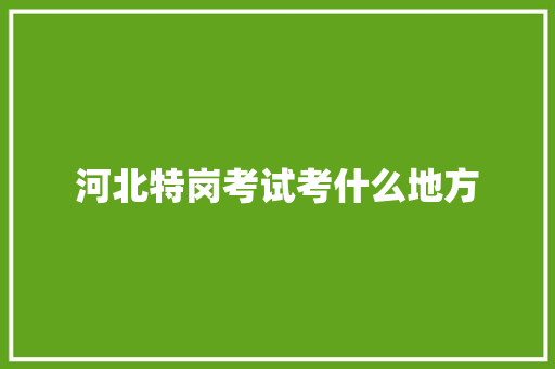 河北特岗考试考什么地方