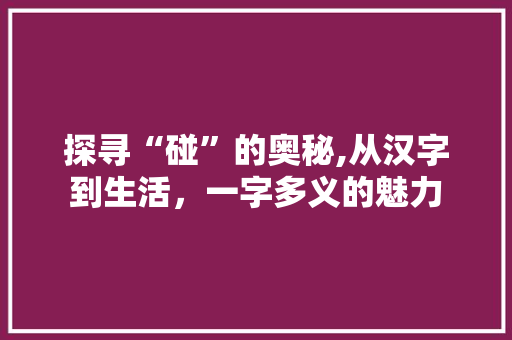 探寻“碰”的奥秘,从汉字到生活，一字多义的魅力