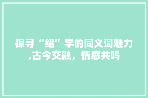 探寻“绍”字的同义词魅力,古今交融，情感共鸣