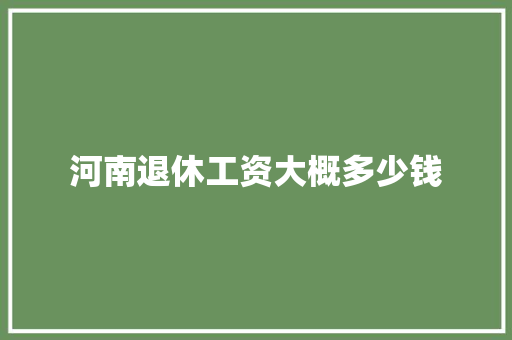 河南退休工资大概多少钱