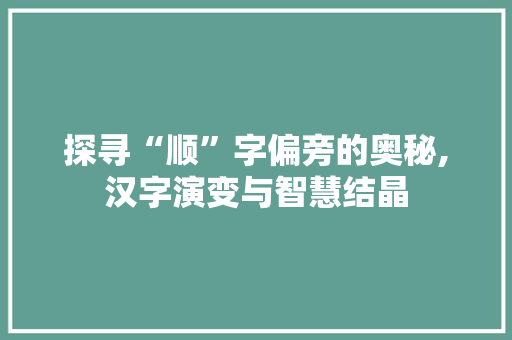 探寻“顺”字偏旁的奥秘,汉字演变与智慧结晶