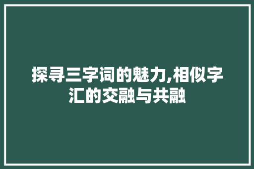探寻三字词的魅力,相似字汇的交融与共融