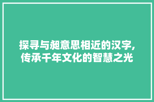 探寻与昶意思相近的汉字,传承千年文化的智慧之光