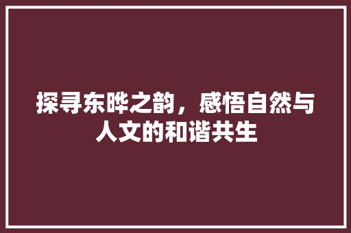 探寻东晔之韵，感悟自然与人文的和谐共生