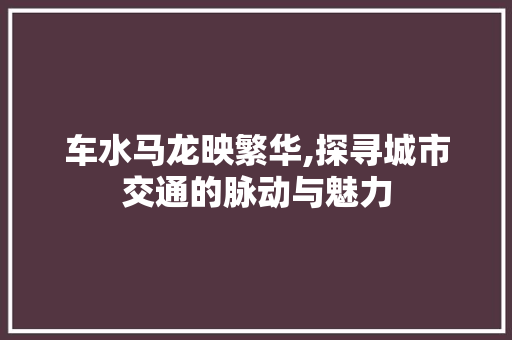 车水马龙映繁华,探寻城市交通的脉动与魅力