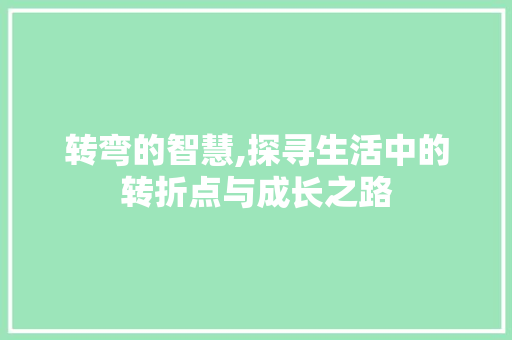 转弯的智慧,探寻生活中的转折点与成长之路