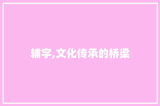 辅字,文化传承的桥梁