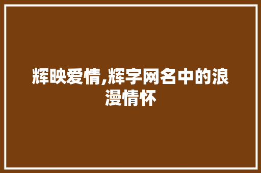 辉映爱情,辉字网名中的浪漫情怀