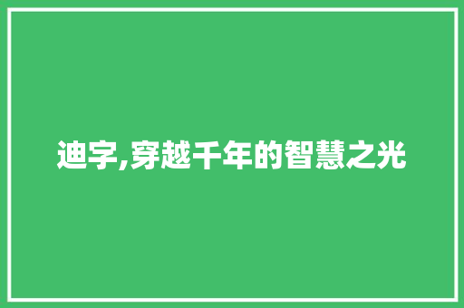 迪字,穿越千年的智慧之光