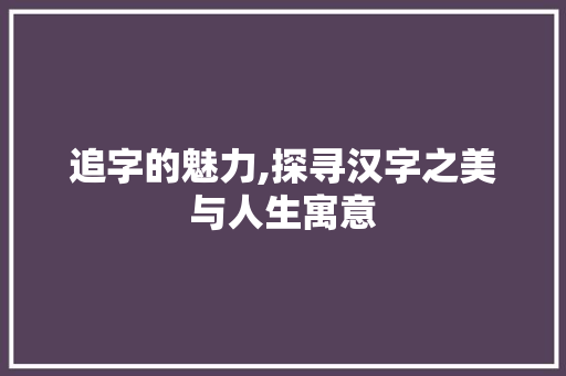 追字的魅力,探寻汉字之美与人生寓意