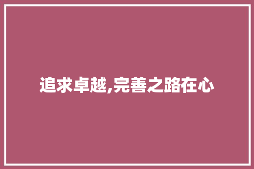 追求卓越,完善之路在心