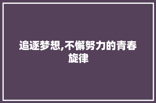追逐梦想,不懈努力的青春旋律
