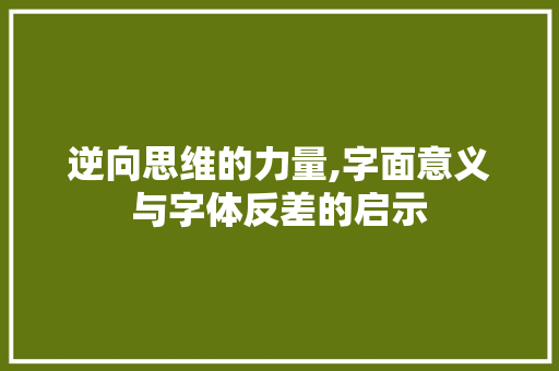 逆向思维的力量,字面意义与字体反差的启示