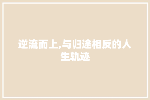 逆流而上,与归途相反的人生轨迹