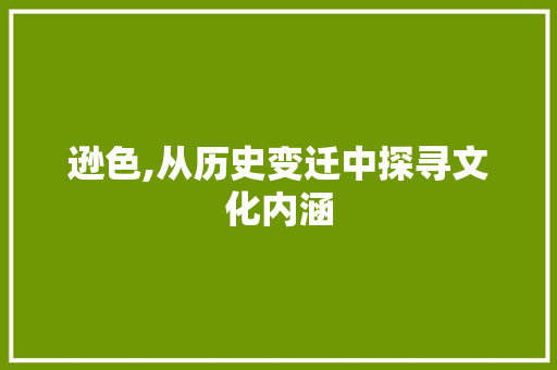逊色,从历史变迁中探寻文化内涵