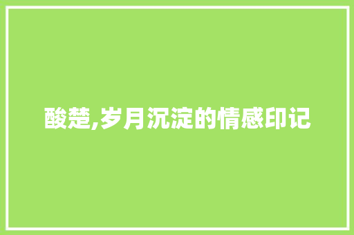 酸楚,岁月沉淀的情感印记 科技报告范文