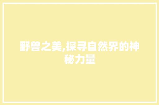 野兽之美,探寻自然界的神秘力量