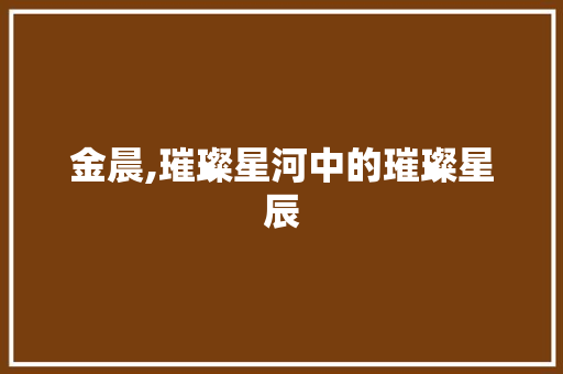 金晨,璀璨星河中的璀璨星辰