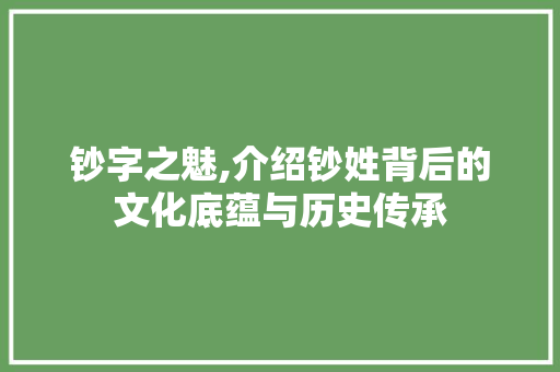 钞字之魅,介绍钞姓背后的文化底蕴与历史传承