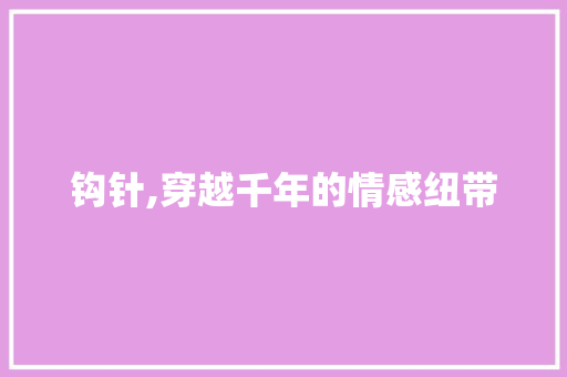 钩针,穿越千年的情感纽带