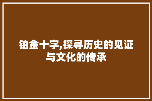 铂金十字,探寻历史的见证与文化的传承