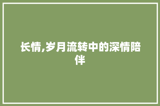 长情,岁月流转中的深情陪伴