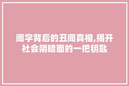 闻字背后的丑闻真相,揭开社会阴暗面的一把钥匙 诗句鉴赏