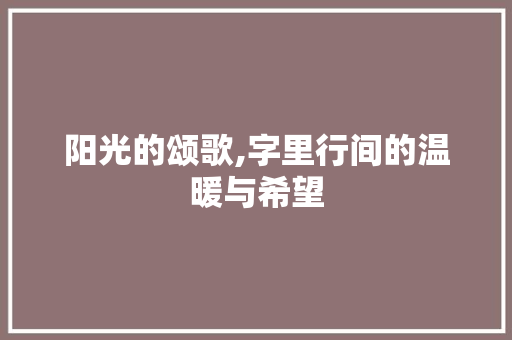 阳光的颂歌,字里行间的温暖与希望