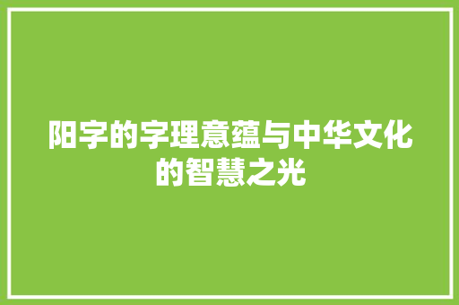 阳字的字理意蕴与中华文化的智慧之光