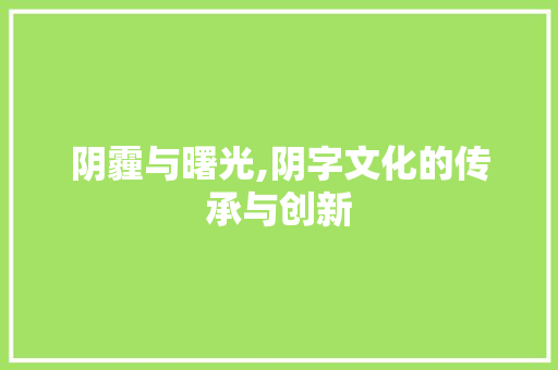 阴霾与曙光,阴字文化的传承与创新