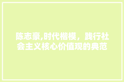 陈志豪,时代楷模，践行社会主义核心价值观的典范