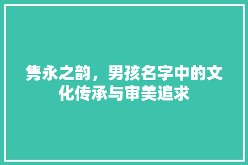 隽永之韵，男孩名字中的文化传承与审美追求