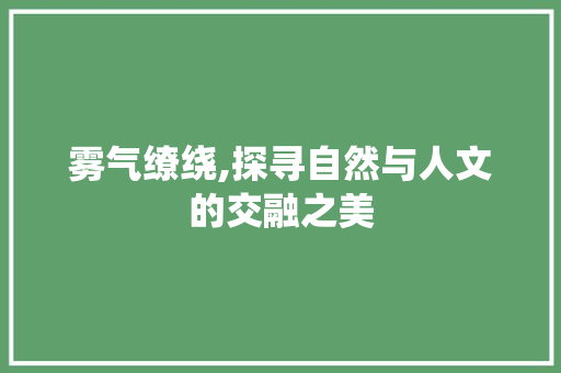 雾气缭绕,探寻自然与人文的交融之美