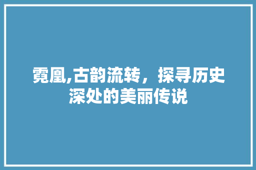 霓凰,古韵流转，探寻历史深处的美丽传说